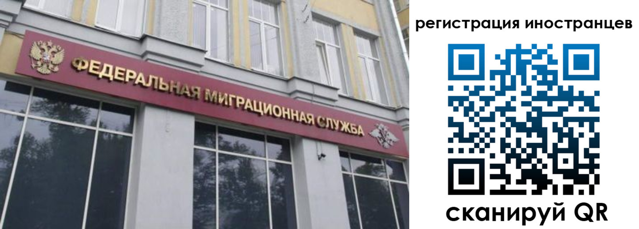 пропишу в квартире в Новгородской области